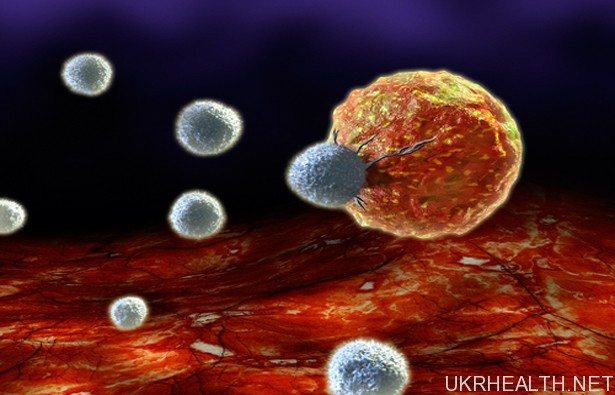 Створені клітини-вбивці раку
