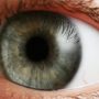 Учені змогли повернути зір сліпим