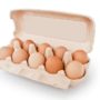 7 фактів про яйця, які ви не знали