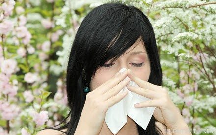 Алергія на пилок