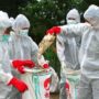 Пташиний грип H7N9: перші підсумки розслідування