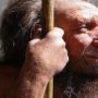 Рак – спадщина неандертальців