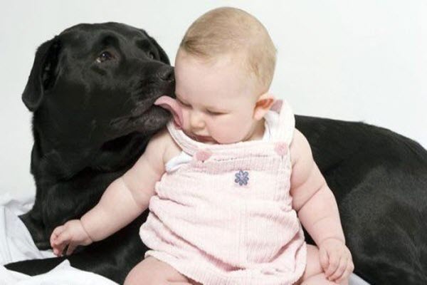 дитина і собака