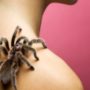 Чому жінки бояться павуків