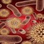Експерти склали ТОП-10 найбільш заселених бактеріями місць