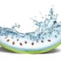 Чим замінити питну воду: найкорисніші фрукти і овочі