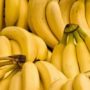 Медики розповіли про маловідомі властивості бананів
