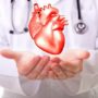 Вчені знайшли доступний спосіб уникнути серцевого нападу