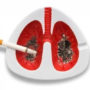 Вчені показали, як виглядають легені людини, яка курила по пачці в день