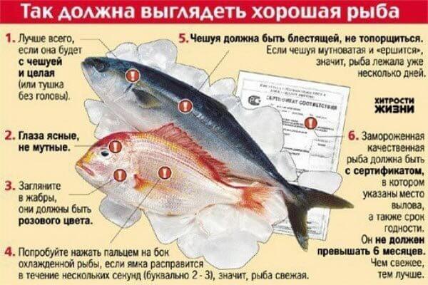 Як вибрати рибу