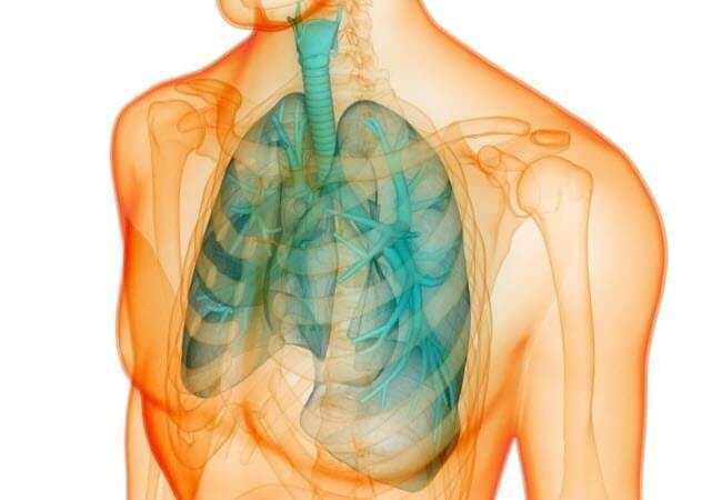 Алергія і її зв'язок з болем в легенях