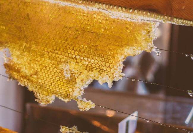 переваги меду