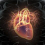 Вчені назвали поєднання трьох речовин, які необхідні для здоров’я серця
