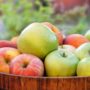 Дієтолог пояснила, які яблука краще їсти