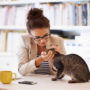 Психологи з’ясували, як пов’язані кішки і їх господарі
