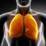 Вчені виявили біомаркери, які прогнозують погіршення функції легень