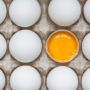 Чому яєчний жовток буває різного кольору?