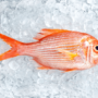 Експерти назвали 5 важливих правил для вибору свіжої риби