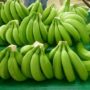 Дієтологиня розповіла про користь недозрілих бананів для здоров’я людини