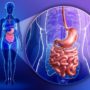 5 науково доведених способів зміцнити здоров’я кишечника