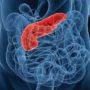 Увага на підшлункову залозу: коротко про симптоми панкреатиту