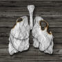 Чи врятує легені, якщо скоротити кількість сигарет в день?