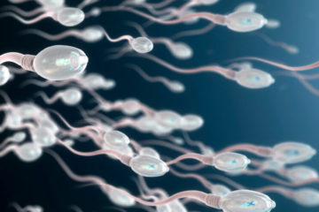 Сперматозоїди
