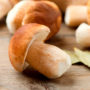Користь грибів для здоров’я: від зайвої ваги, діабету і раку