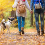 П’ять позитивних ефектів для здоров’я від звичайної прогулянки