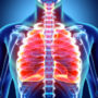 Названі п’ять сильнодіючих продуктів для поліпшення здоров’я легенів
