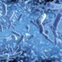 Експерти назвали найпопулярніші й марні способи захисту від мікробів