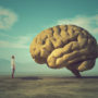 П’ять міфів про мозок, в які чомусь продовжують вірити люди