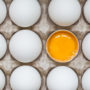 Дієтологи назвали курячі яйця найбільш корисною для здоров’я їжею