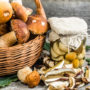 5 причин, чому гриби принесуть вам відчутну користь для здоров’я
