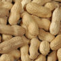 Яка кількість арахісу викликає алергію