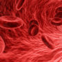 Вчені: кожна група крові притягує певні хвороби