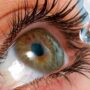 Американські вчені створили краплі очей, які здатні замінити окуляри