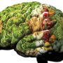 5 продуктів для поліпшення роботи мозку
