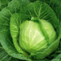 Небезпечна сторона корисної зелені: чому не варто захоплюватися капустою або шпинатом