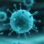Вчені з’ясували, чому люди вмирають від грипу