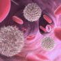 Вчені відкрили спосіб поліпшити імунну відповідь під час хвороби