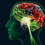 Визначено 10 кращих продуктів для збереження здоров’я мозку
