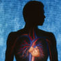 4 повсякденні звички, які можуть довести до хвороб серця
