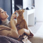 Людина і кішка: вчені назвали сім причин завести пухнастого друга