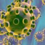 Німецький фахівець назвала продукти, здатні захистити від зараження коронавірусом
