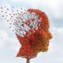 Хвороба Альцгеймера: сім “провалів в пам’яті”, що вказують на ранню стадію деменції