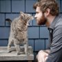 Вчені розповіли, чому кожному чоловікові потрібен кіт