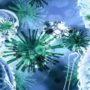 Медики встановили час збереження коронавірусу в організмі