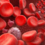 7 продуктів, які збільшать кількість тромбоцитів в крові