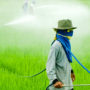 Кожна третя людина піддається впливу потенційно небезпечних пестицидів